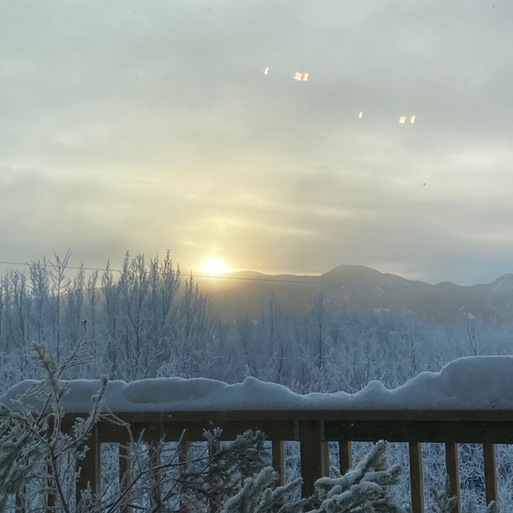 Meet your Posher, Jesse - Picture 1 of 1